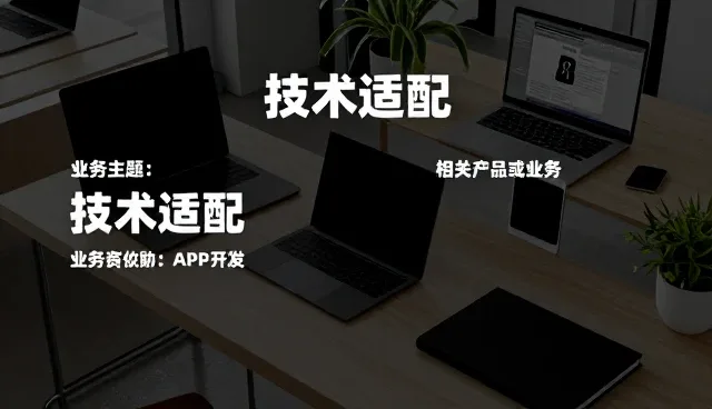 化方案选型中的关键考量因素与实际应用分析